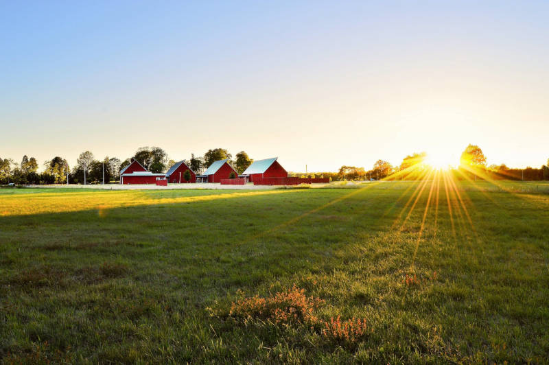 sun shining on farmland